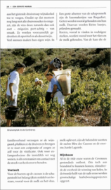 Dominicus reisgids Cevennen / Languedoc , Hans Pĳnenburg  Serie: Dominicus