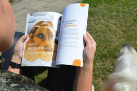 Puppy Opvoeden: De Nieuwe Methode 1 - Het Ultieme Puppy Zindelijk Maken Handboek Concrete tips en adviezen van 24 hondenexperts , Robbin Kleinpenning Serie: Puppy Opvoeden: De Nieuwe Methode