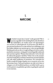 Een spiegel voor narcisten , Martin Appelo