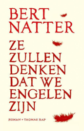 Ze zullen denken dat we engelen zijn , Bert Natter