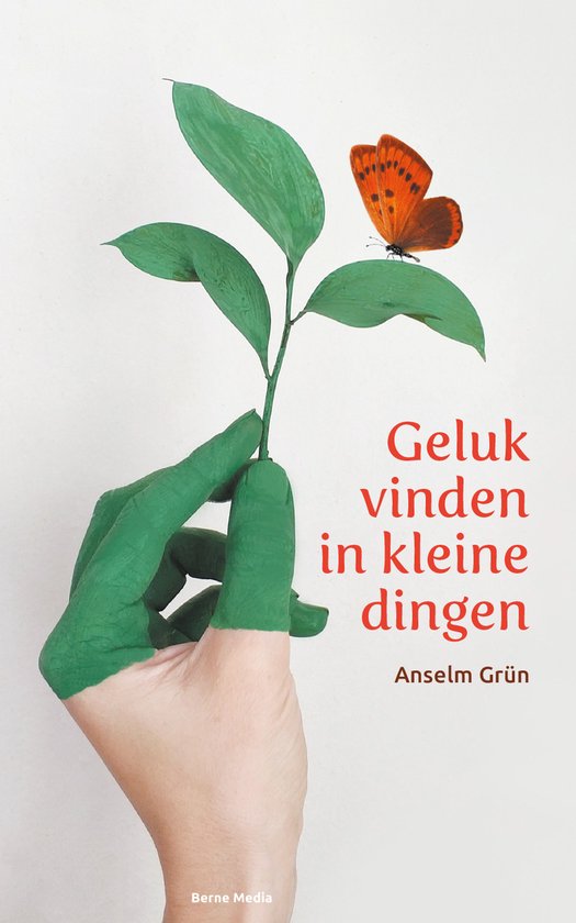 Geluk vinden in kleine dingen , Anselm Grün