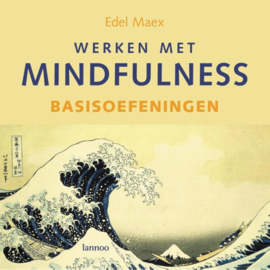Werken met mindfulness Basisoefeningen basisoefeningen & werken met mindfulness ,  Edel Maex