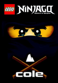 LEGO Ninjago - Lego ninjago | Cole masters of spinjitzu ,  G. Farshteya  Serie: LEGO NINJAGO