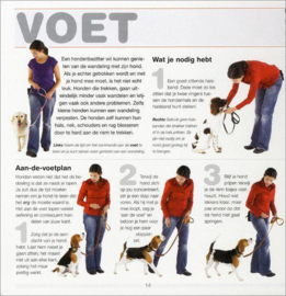 Het Zit Af Hier Voet Blijf en Sta Boek Grondbeginselen Van Honden En Puppytraining , C. Arrowsmith