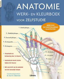 Anatomie werk- en kleurboek voor zelfstudie (nieuwe editie) meer dan 350 gedetailleerde illustraties , Kurt H. Albertine, Ph.D.