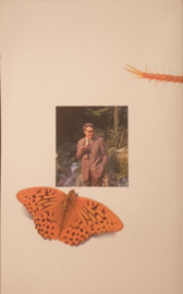 Erik of het klein insectenboek, Godried Bomans