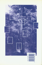 Flitsen van het sublieme acht manieren om met behulp van tegenstellingen tot een intenser bewustzijn te komen, Menno van Doorn