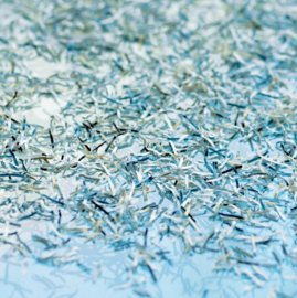 Papiervernietiger DAHLE 610 Snippers CC 0,8x12 mm 6 vel Auto-Oil P-6/P6