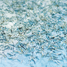 Papiervernietiger DAHLE 614 BC Snippers CC 0,8 x 12 mm Auto-Oil P-6/P6