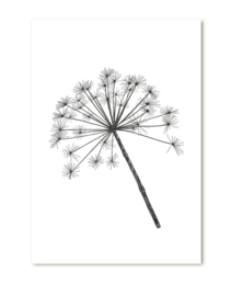 Berenklauw | cadeaukaartje