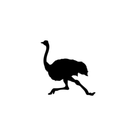 Struisvogel - jungledieren