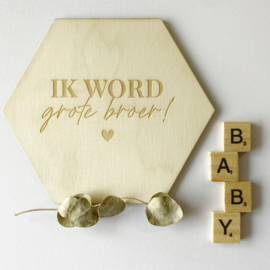 Ik word grote zus | houten bordje