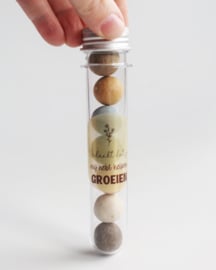 Plastic buisje met 7 zaadbommen