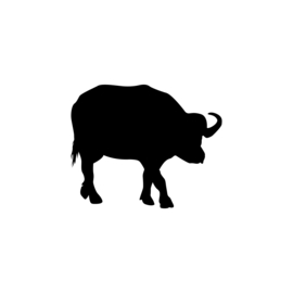 Buffel - jungledieren