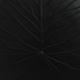 Pot Lotus zwart mat