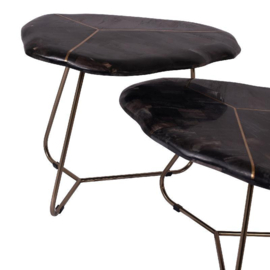 Patly Petrified wood coffeetables golden frame s/2