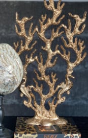 Coral Tree Gold