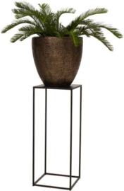 Carol Planter Low M