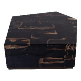 Rayn Petrified wood black coffeetable L