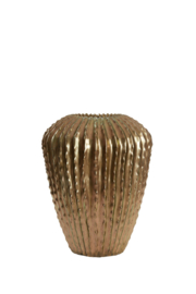 Vaas Cacti L Goud