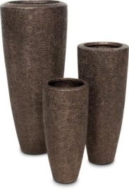 Carol Planter L