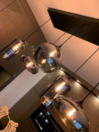 Timeless Bulbs Collectie