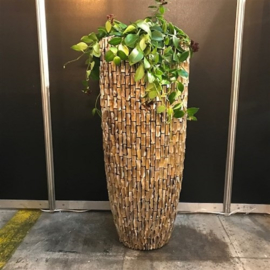 Pot  Rough Shell