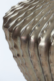 Vaas Cacti S Goud