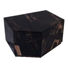 Rayn Petrified wood black coffeetable M