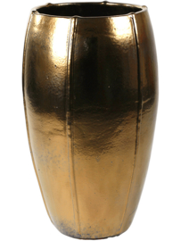 Moda Emperor Gold XL