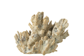 Koraal Polyresine bruin/goud L