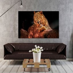 Leopard on wood