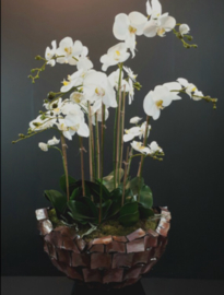bowl, mother of pearl Brown