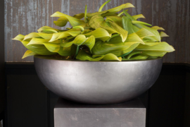 Royal Plantenbak Kom L Titanium/Grijs