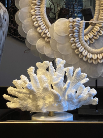 White marble coral