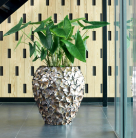 Pot mother of pearl Brown
