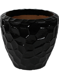 Cascara Black S