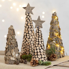 KERST "Kerstdecoratie" Maandag 22 december 6 - 10 jaar