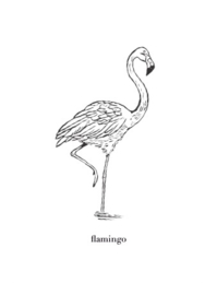 Wenskaart graspapier Flamingo