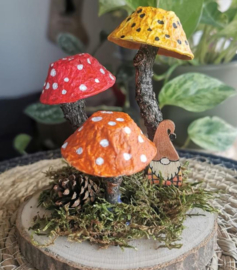 HERFST "Kabouters" Dinsdag  28 oktober 6 - 10 jaar