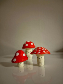HERFST "Kabouters" Dinsdag  28 oktober 6 - 10 jaar