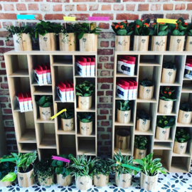 Bloempot met naam/logo