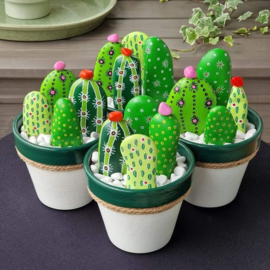 Workshop "Stenen cactus" voor volwassenen Donderdag 16 mei 2024