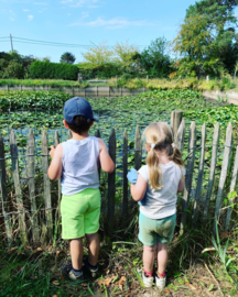 ZOMER Buitenspeeldag Maandag 8 juli 2024