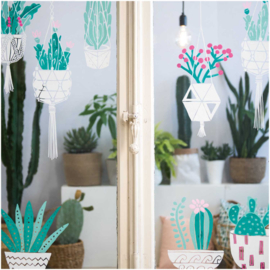 Raamstift MINT