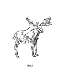 Wenskaart graspapier Eland