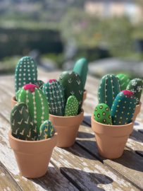Workshop "Stenen cactus" voor volwassenen Donderdag 16 mei 2024