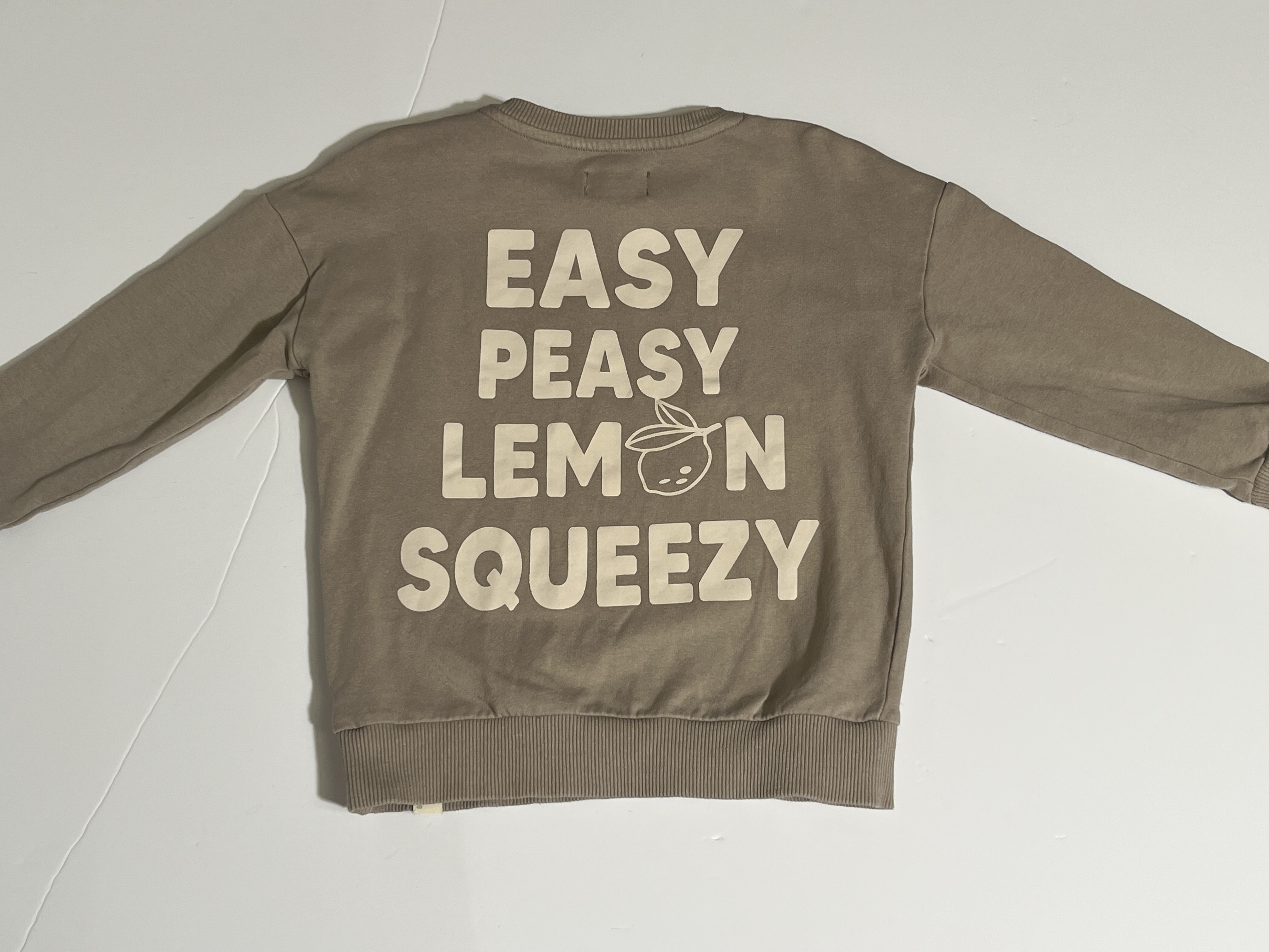 Z8  sweater voor jongen van 2 / 3 jaar met maat 92 / 98