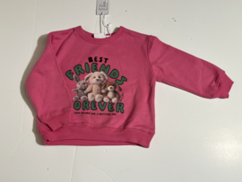 The New truitje voor meisje van 2 jaar met maat 92
