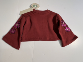 Ammehoela trui voor meisje van 6 / 12 maanden met maat 68 / 74 / 80